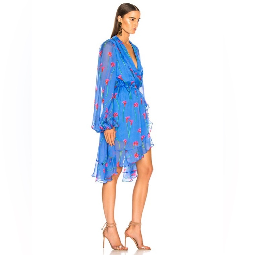 Caroline constas Olivia mini dress